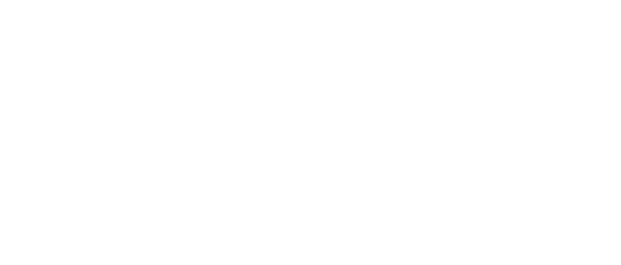 Platform Group